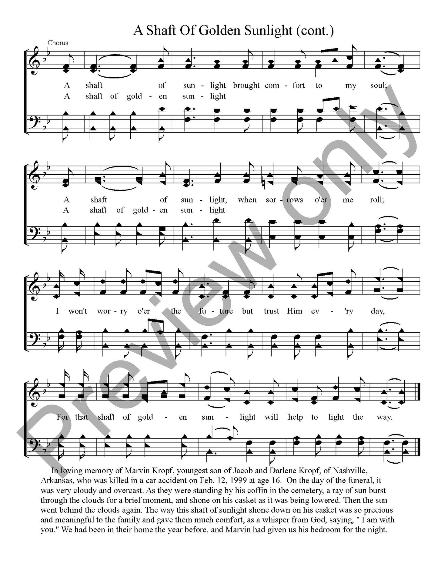 A Shaft Of Golden Sunlight